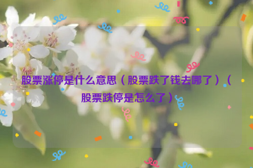 股票涨停是什么意思（股票跌了钱去哪了）（股票跌停是怎么了）