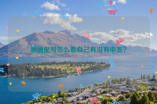 新债配号怎么看自己有没有中签？