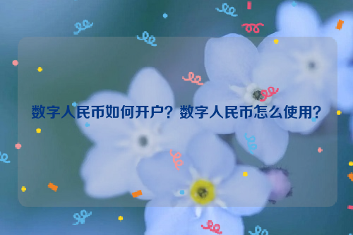 数字人民币如何开户？数字人民币怎么使用？