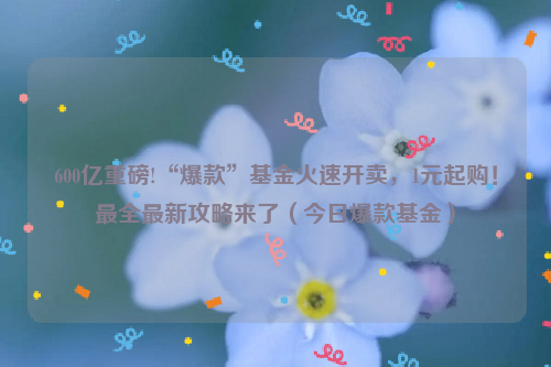 600亿重磅!“爆款”基金火速开卖，1元起购！最全最新攻略来了（今日爆款基金）