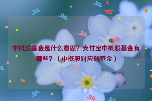 中概股基金是什么意思？支付宝中概股基金有哪些？（中概股对应的基金）