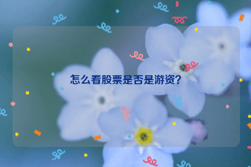 怎么看股票是否是游资？