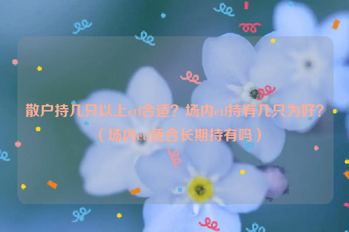 散户持几只以上etf合适？场内etf持有几只为好？（场内etf适合长期持有吗）
