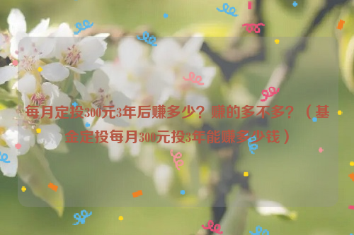 每月定投300元3年后赚多少？赚的多不多？（基金定投每月300元投3年能赚多少钱）