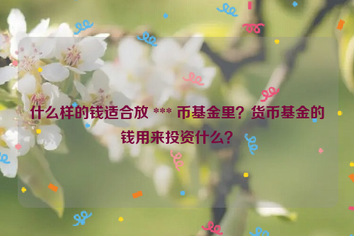 什么样的钱适合放 *** 币基金里？货币基金的钱用来投资什么？