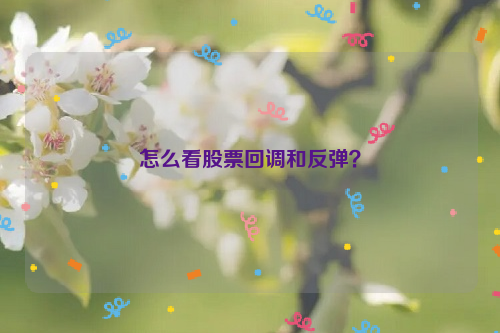 怎么看股票回调和反弹？