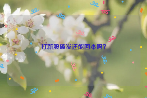 打新股破发还能回本吗？