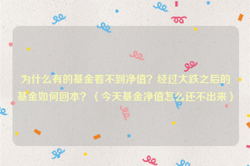 为什么有的基金看不到净值？经过大跌之后的基金如何回本？（今天基金净值怎么还不出来）