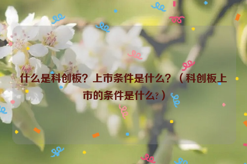 什么是科创板？上市条件是什么？（科创板上市的条件是什么?）