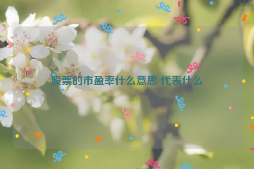 股票的市盈率什么意思 代表什么