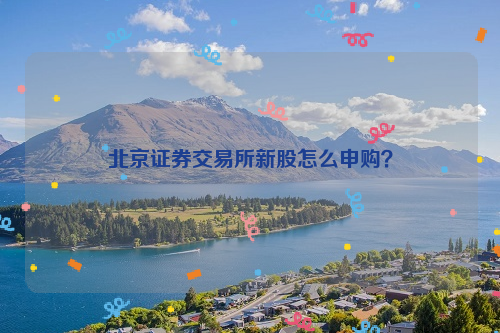 北京证券交易所新股怎么申购？