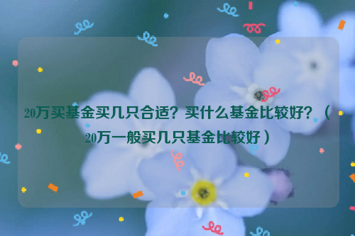 20万买基金买几只合适？买什么基金比较好？（20万一般买几只基金比较好）