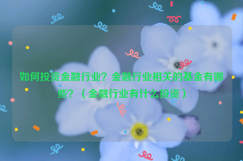 如何投资金融行业？金融行业相关的基金有哪些？（金融行业有什么投资）