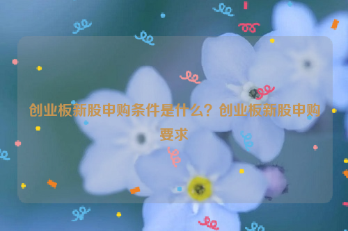 创业板新股申购条件是什么？创业板新股申购要求