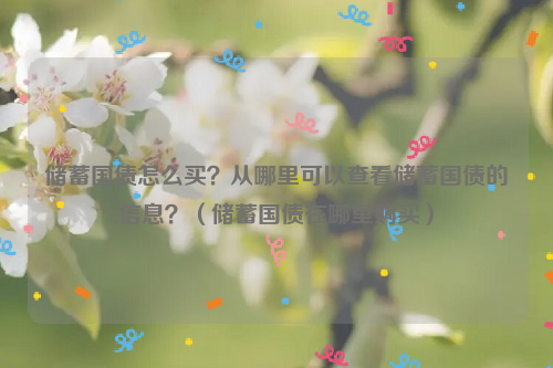 储蓄国债怎么买？从哪里可以查看储蓄国债的信息？（储蓄国债在哪里购买）