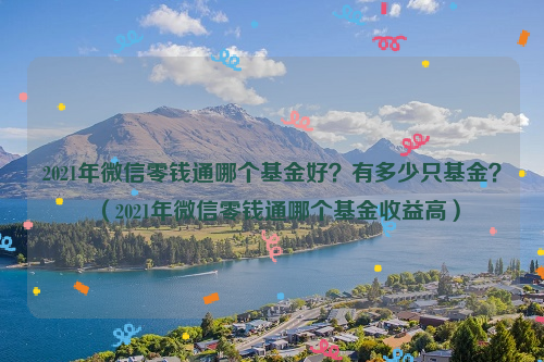 2021年微信零钱通哪个基金好？有多少只基金？（2021年微信零钱通哪个基金收益高）