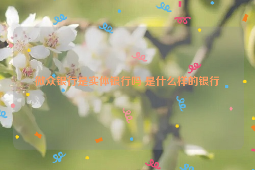 微众银行是实体银行吗 是什么样的银行