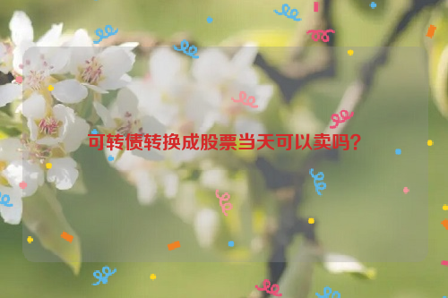 可转债转换成股票当天可以卖吗？