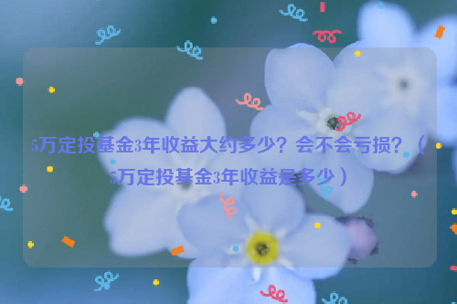 5万定投基金3年收益大约多少？会不会亏损？（5万定投基金3年收益是多少）