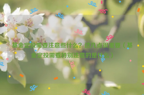 基金定投需要注意些什么？这几点很重要（基金定投需要特别注意的是什么）