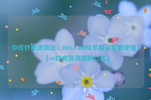 中线抄底逃顶法：DMA+RSI技术指标如何使用？（rsi抄底逃顶指标公式）