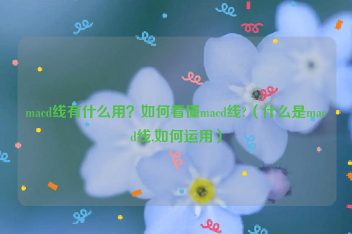 macd线有什么用？如何看懂macd线?（什么是macd线,如何运用）