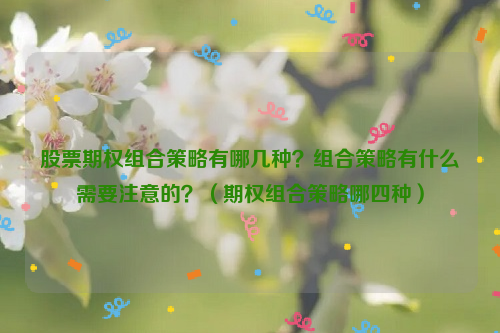 股票期权组合策略有哪几种？组合策略有什么需要注意的？（期权组合策略哪四种）