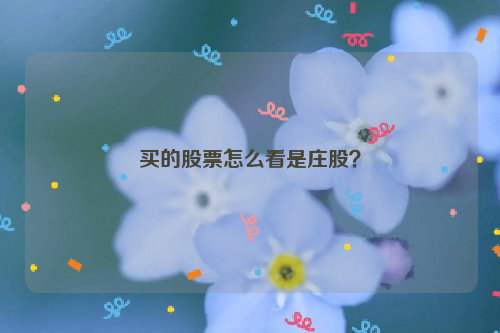 买的股票怎么看是庄股？