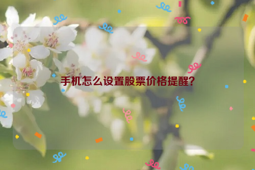 手机怎么设置股票价格提醒？