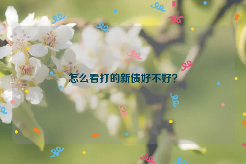 怎么看打的新债好不好？