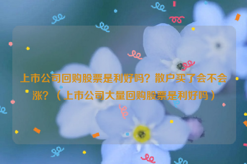 上市公司回购股票是利好吗？散户买了会不会涨？（上市公司大量回购股票是利好吗）