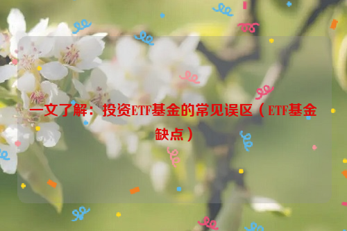 一文了解：投资ETF基金的常见误区（ETF基金缺点）