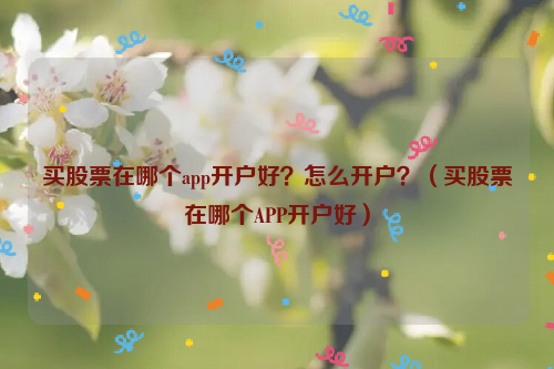 买股票在哪个app开户好？怎么开户？（买股票在哪个APP开户好）