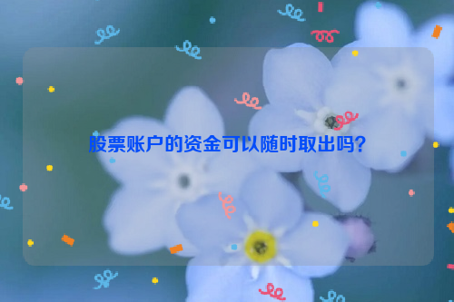 股票账户的资金可以随时取出吗？