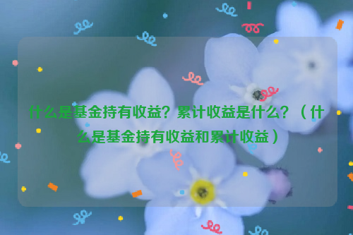 什么是基金持有收益？累计收益是什么？（什么是基金持有收益和累计收益）