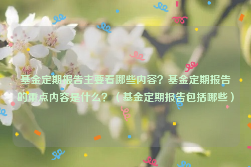 基金定期报告主要看哪些内容？基金定期报告的重点内容是什么？（基金定期报告包括哪些）
