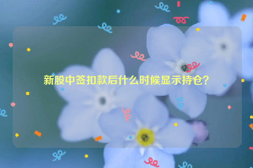 新股中签扣款后什么时候显示持仓？