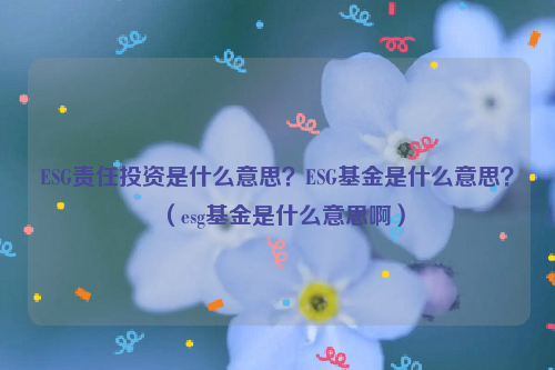 ESG责任投资是什么意思？ESG基金是什么意思？（esg基金是什么意思啊）