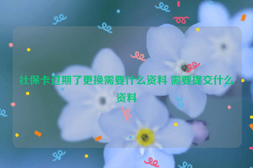 社保卡过期了更换需要什么资料 需要提交什么资料