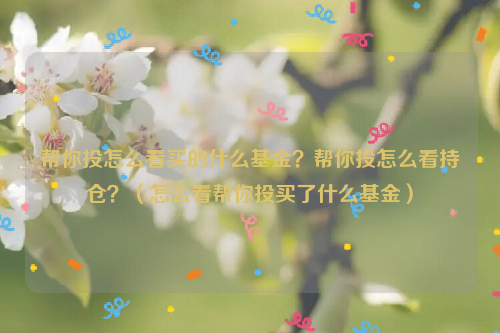 帮你投怎么看买的什么基金？帮你投怎么看持仓？（怎么看帮你投买了什么基金）