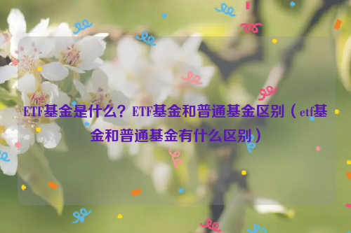 ETF基金是什么？ETF基金和普通基金区别（etf基金和普通基金有什么区别）