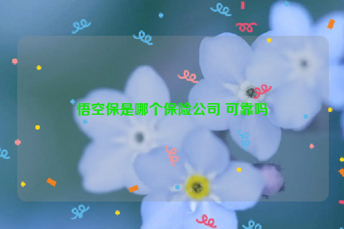 悟空保是哪个保险公司 可靠吗