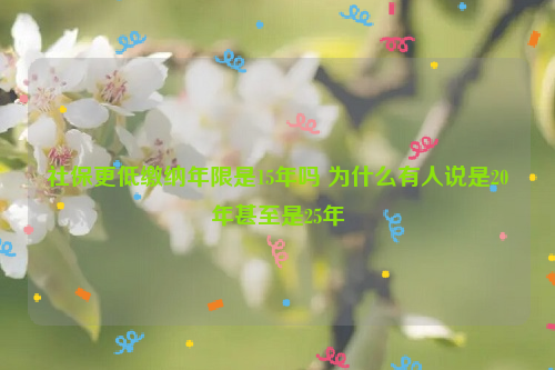 社保更低缴纳年限是15年吗 为什么有人说是20年甚至是25年