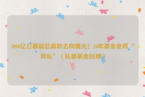 5000亿公募副总离职去向曝光！20年基金老将“奔私”（私募基金经理）