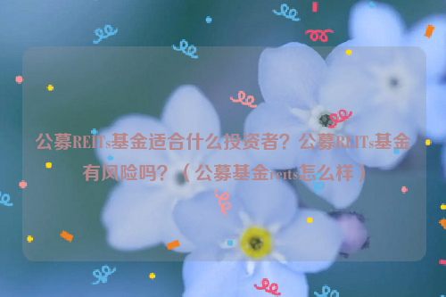 公募REITs基金适合什么投资者？公募REITs基金有风险吗？（公募基金reits怎么样）