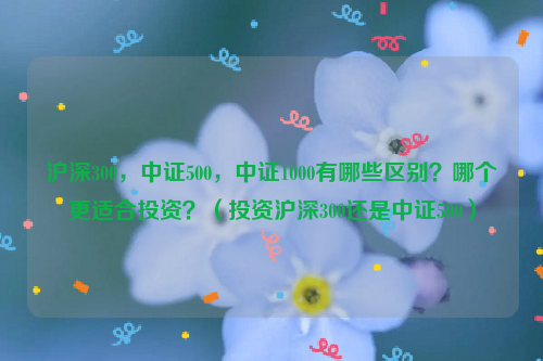 沪深300，中证500，中证1000有哪些区别？哪个更适合投资？（投资沪深300还是中证500）