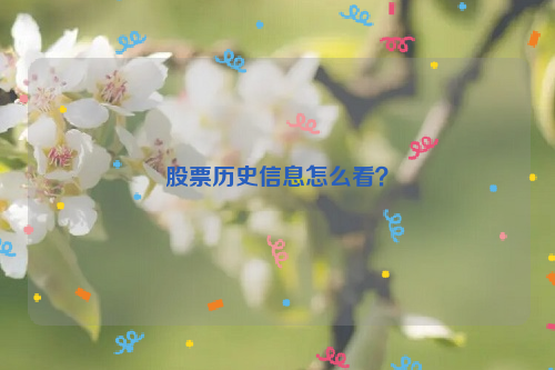 股票历史信息怎么看？