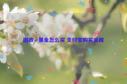 固收+基金怎么买 支付宝购买流程