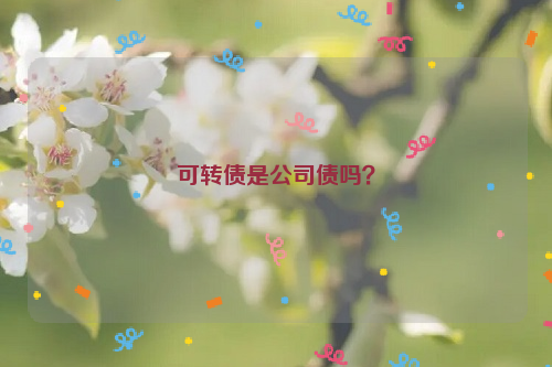 可转债是公司债吗？