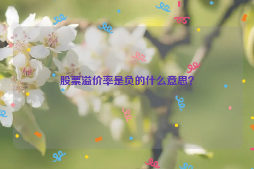 股票溢价率是负的什么意思？